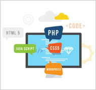 Website Design & Development Services